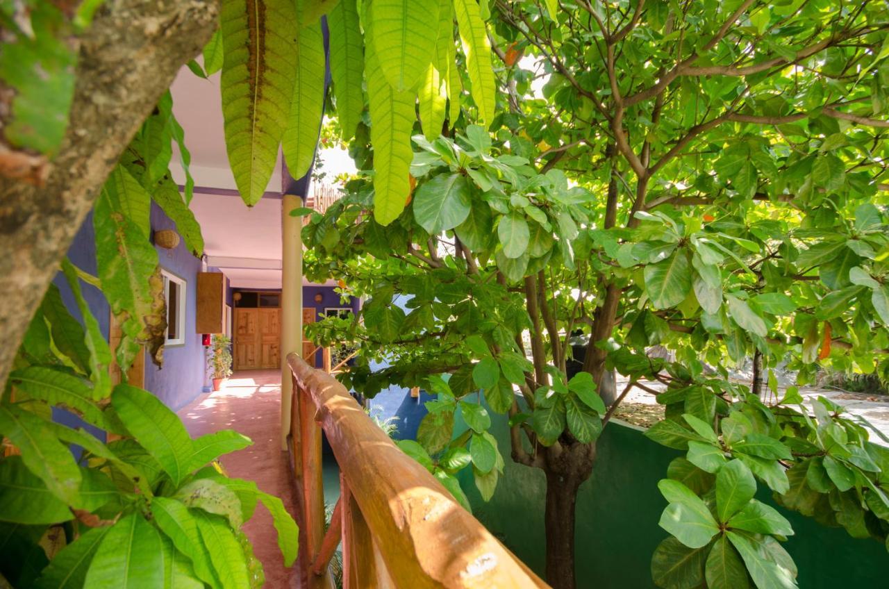 فندق Casa Almendro تولوم المظهر الخارجي الصورة