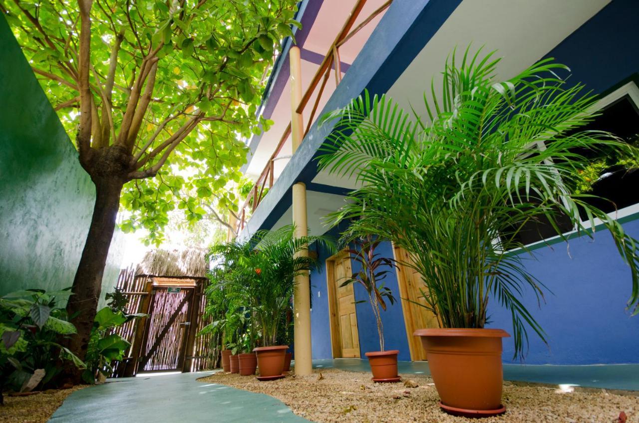 فندق Casa Almendro تولوم المظهر الخارجي الصورة